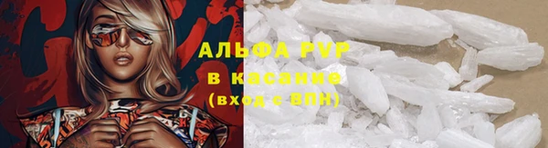 PSILOCYBIN Арсеньев