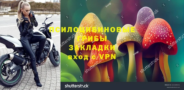 PSILOCYBIN Арсеньев